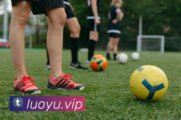 j9游会j9官网首页登录发展历程